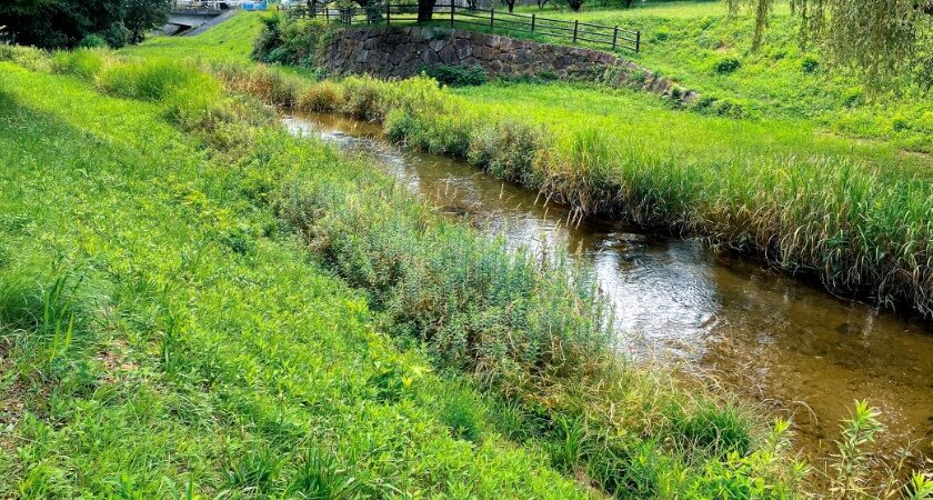 求人・採用大幅強化中のキャリカレ広島本社の通勤風景