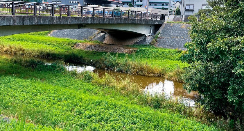 求人・採用大幅強化中のキャリカレ広島本社の通勤風景